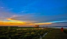 寻梦路上的坎坷——读《根鸟》有感