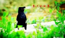 春天里的小故事