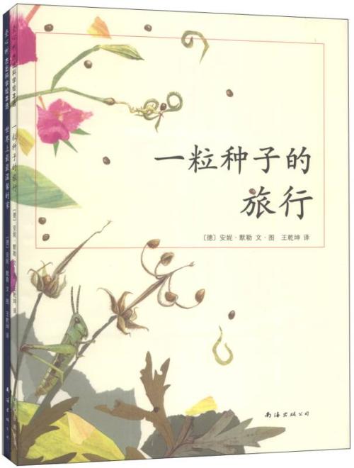 播下温暖的种子