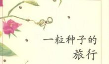 播一粒温暖的种子