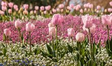 五顔六色的春天