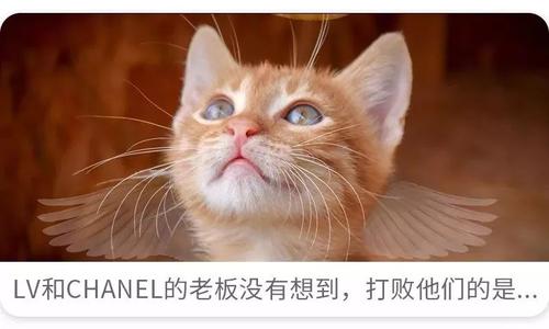 后悔之痛