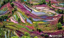 那是最美的风景