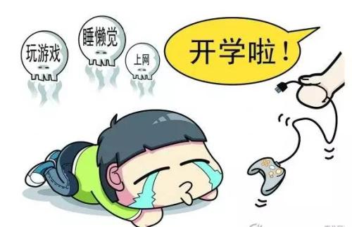 适应