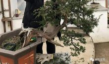 走进自我的心灵深处