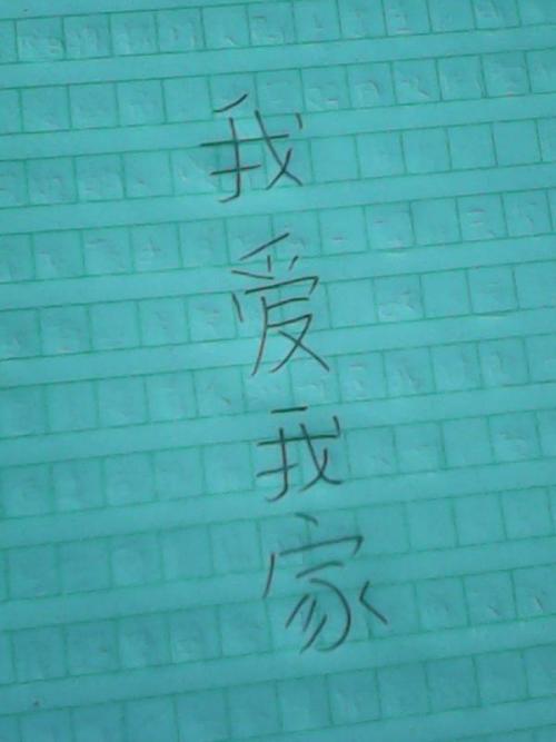 我的家人_600字
