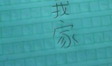 我的一家_600字