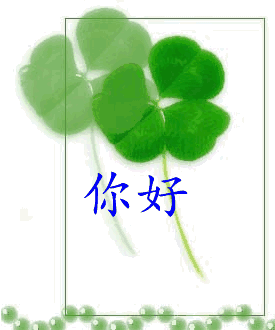 很高兴见到你