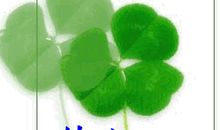 很高兴能认识你