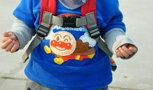 假如我有一个小弟弟