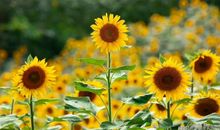 适合自己，就是最好