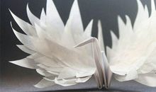 乘着想象的翅膀