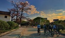 放学路上的战争