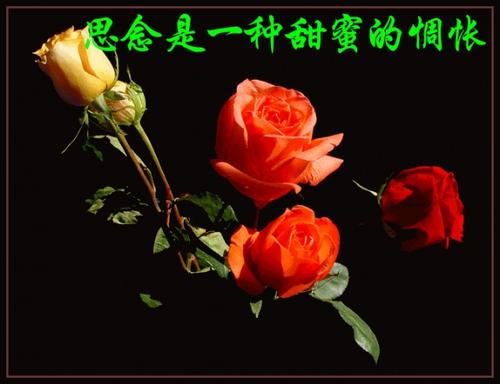 亮闪闪的星星