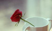 因为有你们才温暖