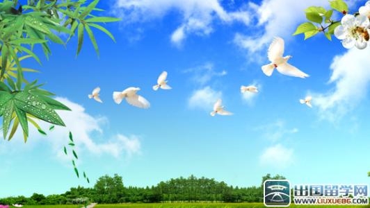 小学二年级时的风景构图：欣赏莲花_600个单词