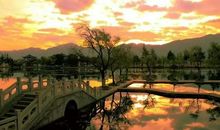 茶香飘过一千年