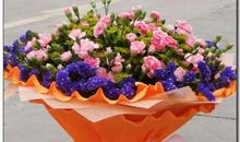 又是一年母亲节