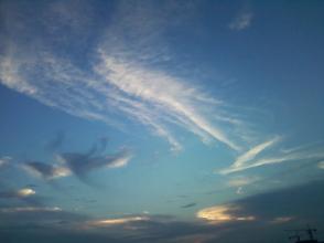 没有鸟的天空