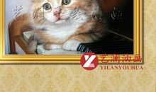 小花猫，让我欢喜让我忧