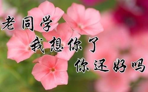 我过着幸福的生活