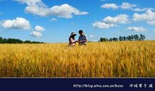 我身边的“秋”