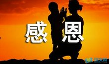 一棵树的尊严_700字