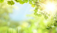 你的阳光丰富了我的生命_900字