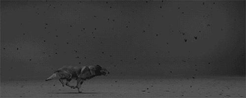 敢于有尊严地打字和_1500个单词