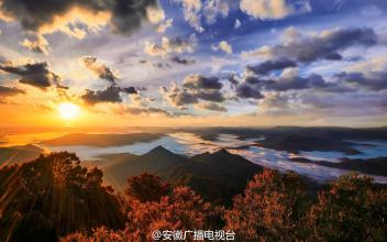 对我自己二十年后