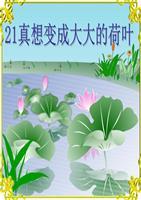 我想做一片荷叶