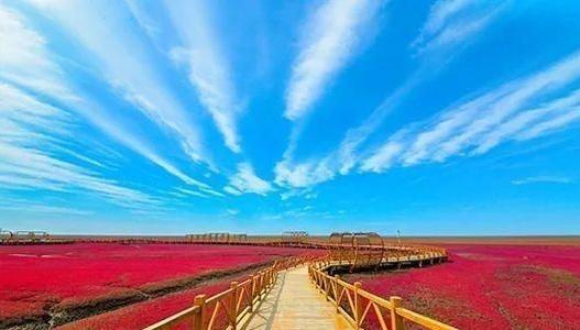 美丽的红海滩