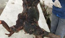 搬石工的脚步读后感