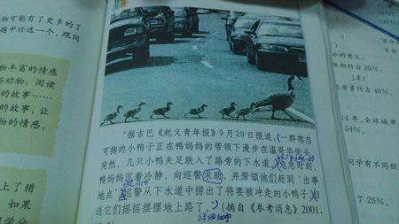 学校感言_550字
