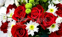 我喜欢的玫瑰花