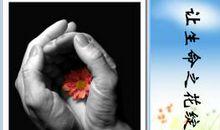 让生命之花绽放