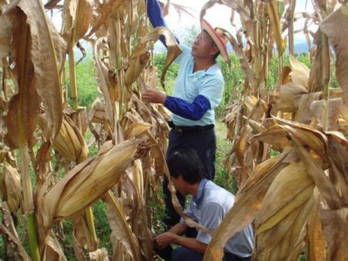 劳动和收获_450个单词