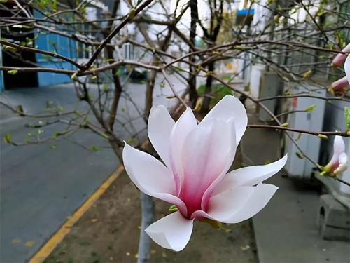 与温暖同行的日子