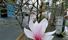 与温暖一起走过的日子