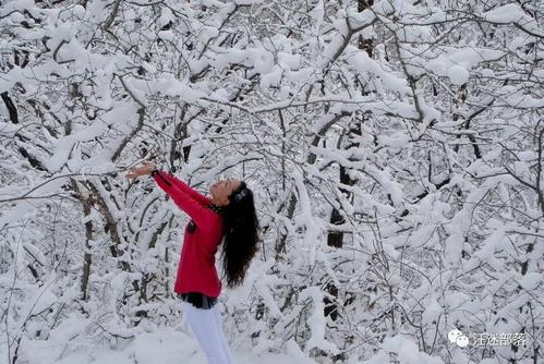下雪了，太好了！