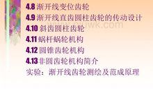 珍惜时间，善待每一秒演讲稿