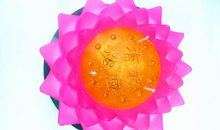 万事“礼”先行