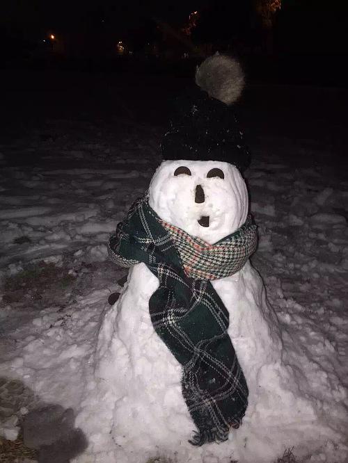 Lonely Snowman_700个单词