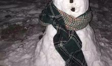 孤独的雪人_700字