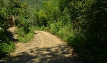 来自大山深处的梦