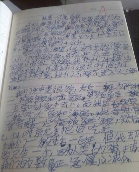 时间。 One_150个字
