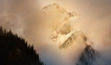 这也是一种缺憾