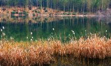 掬一潭自由的湖水