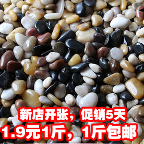 石头之歌