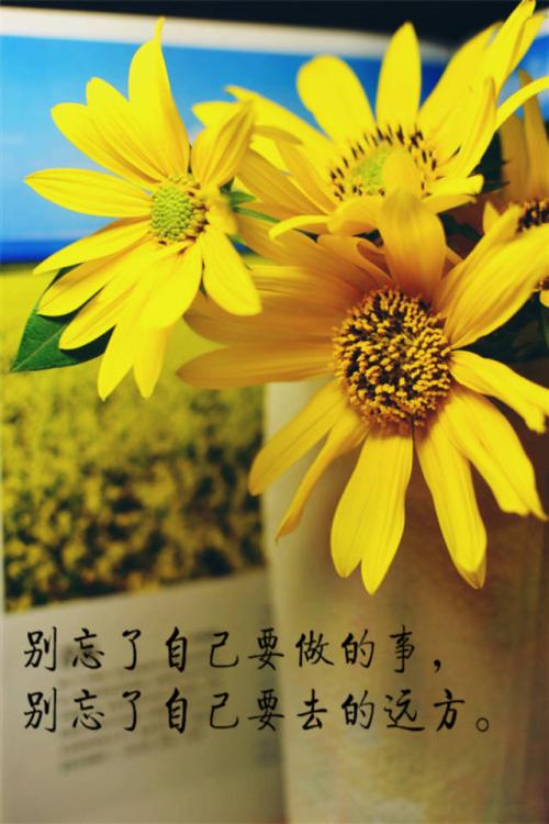 在我身边温暖